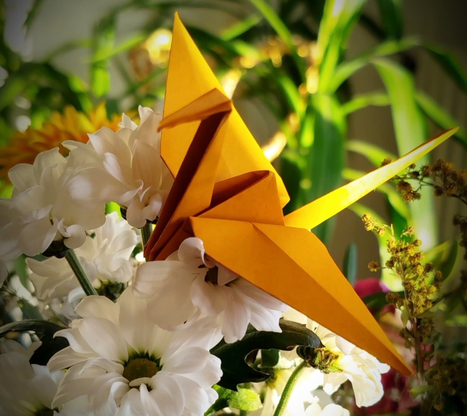 grue en origami hommage pour World Origami Day